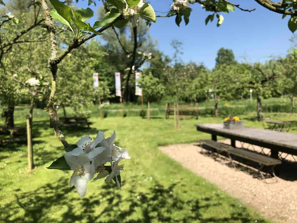 High Tea in boomgaard Buitenplaats Vlaardingen