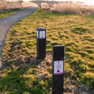 Wandelen